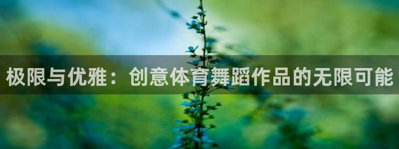 vsport体育在线官网