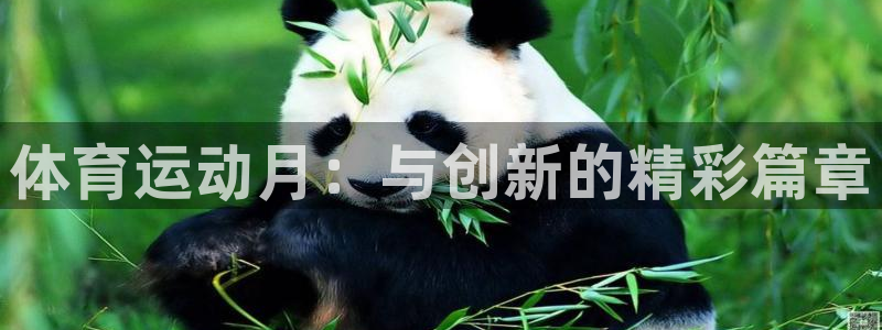 vsport体育：体育运动月：与创新的精彩篇章