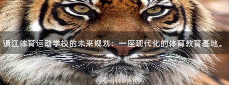 vsport体育在线官网：镇江体育运动学校的未来规划：一座现代化的体育教育基地。