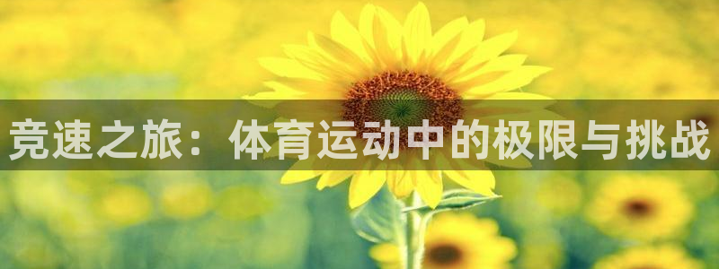 vsport体育：竞速之旅：体育运动中的极限与挑战