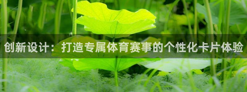 vsport体育在线官网