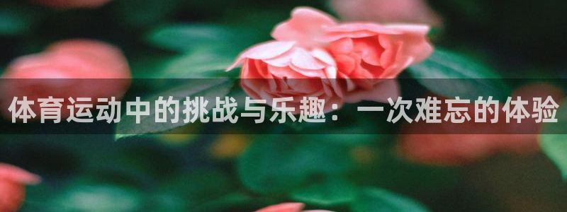 vsport体育在线官网