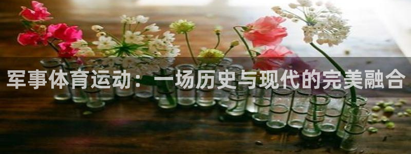 vsport体育在线官网