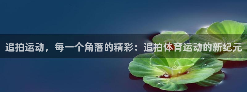 vsport体育在线官网