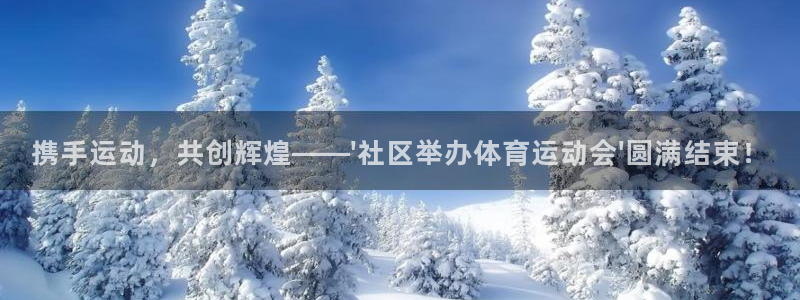 vsport体育在线官网：携手运动，共创辉煌——\'社区举办体育运动会\'圆满结束！