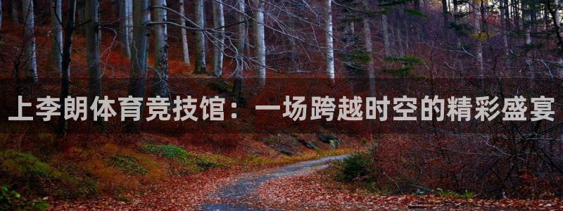 vsport体育在线官网：上李朗体育竞技馆：一场跨越时空的精彩盛宴