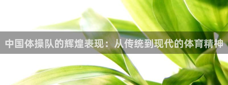vsport体育：中国体操队的辉煌表现：从传统到现代的体育精神